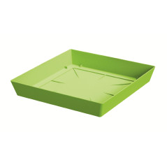 podmiska LOFLY LOW PPLFQ 245 limetková