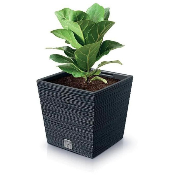 Květináč Furu Square Low DFS300 antracit